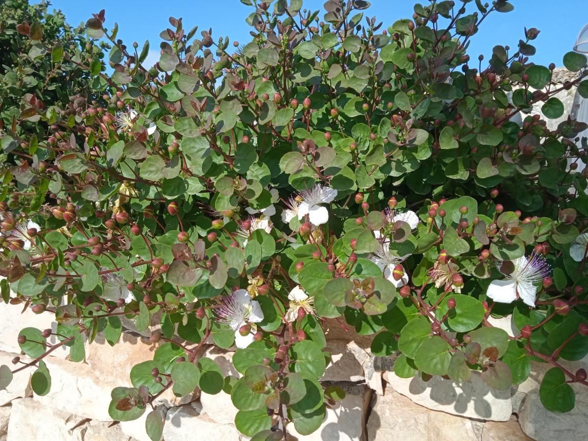 I 5 Sensi Villa Marina di Modica Bagian luar foto
